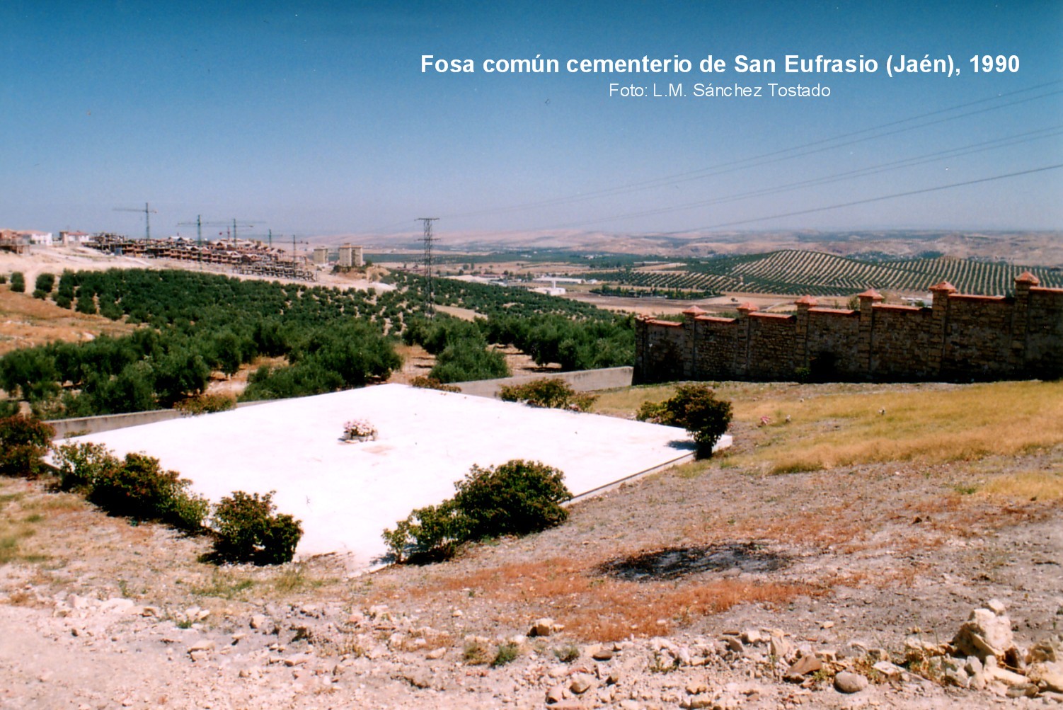 Fosa 702 año 1990